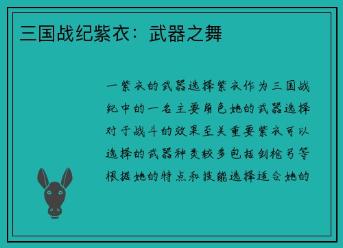 三国战纪紫衣：武器之舞